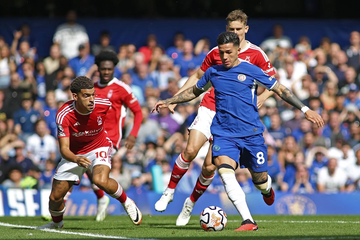Chelsea có thể sẽ đặt dấu chấm hết cho kỷ nguyên Postecoglou tại Nottingham