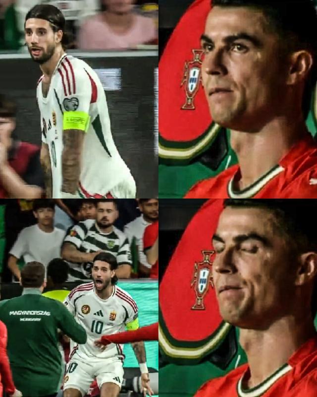 Bieu cam Ronaldo anh 1